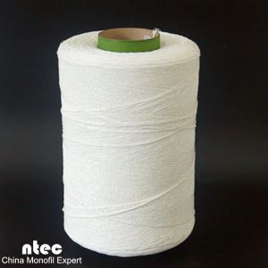 Ti' k'uuch xíiw rizada u PE